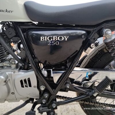 Bigboy 250, 19788km, 2012 - Image 26