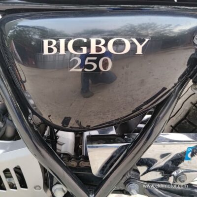 Bigboy 250, 19788km, 2012 - Image 27